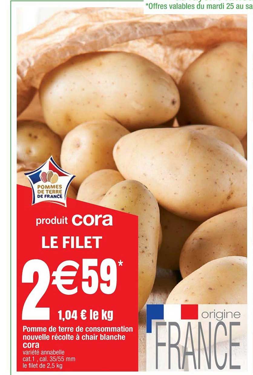 Pomme De Terre De Consommation Nouvelle Récolte à Chair Blanche Cora