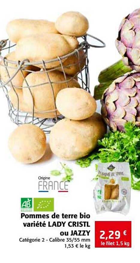 Pommes De Terre Bio Variété Lady Cristl Ou Jazzy