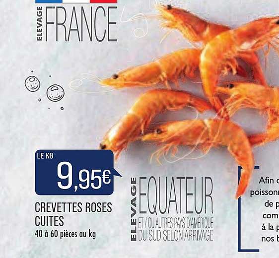 Crevettes Roses Cuites