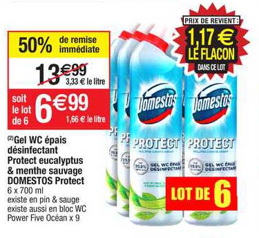 Gel Wc épais Désinfectant Protect Eucalyptus & Menthe Sauvage Domestos Protect