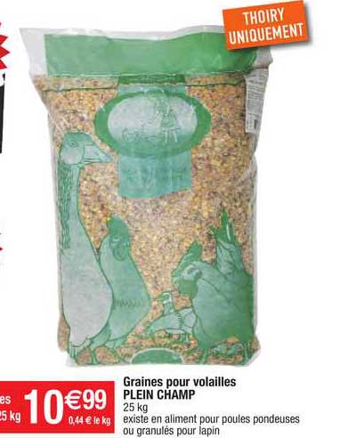 graines pour volailles plein champ