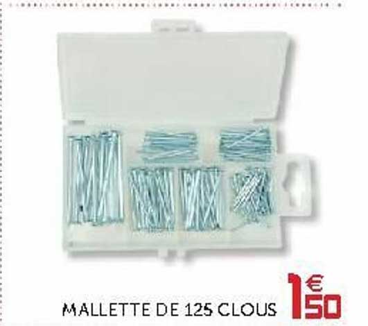 mallette de 125 clous