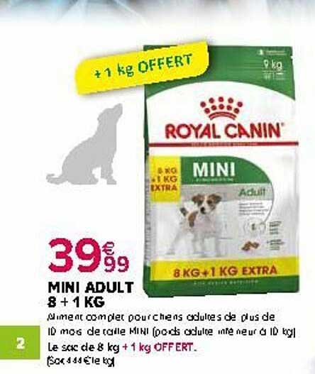 mini adult 8 + 1 kg royal canin