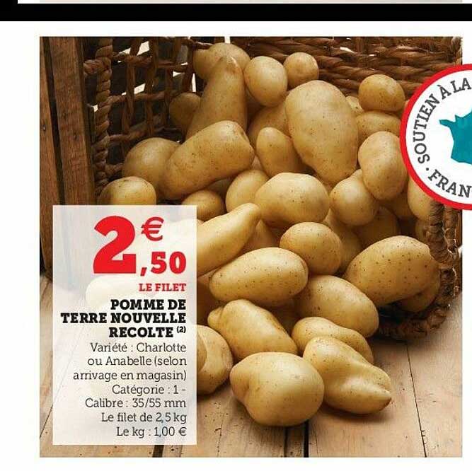 pomme de terre nouvelle récolte