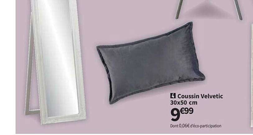 coussin velvetic 30x50 cm