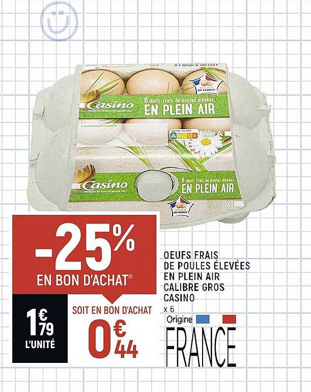 oeufs frais de poules élevées en plein air calibre gros casino
