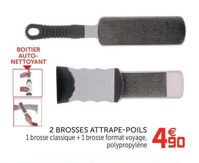 2 Brosses Attrape Poils