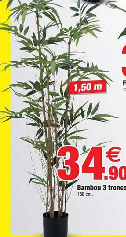 bambou 3 troncs