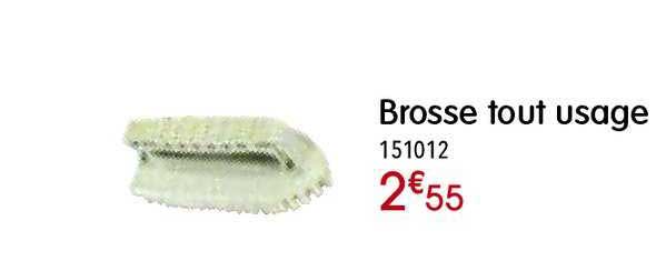 brosse tout usage