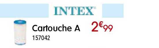 Cartouche A Intex
