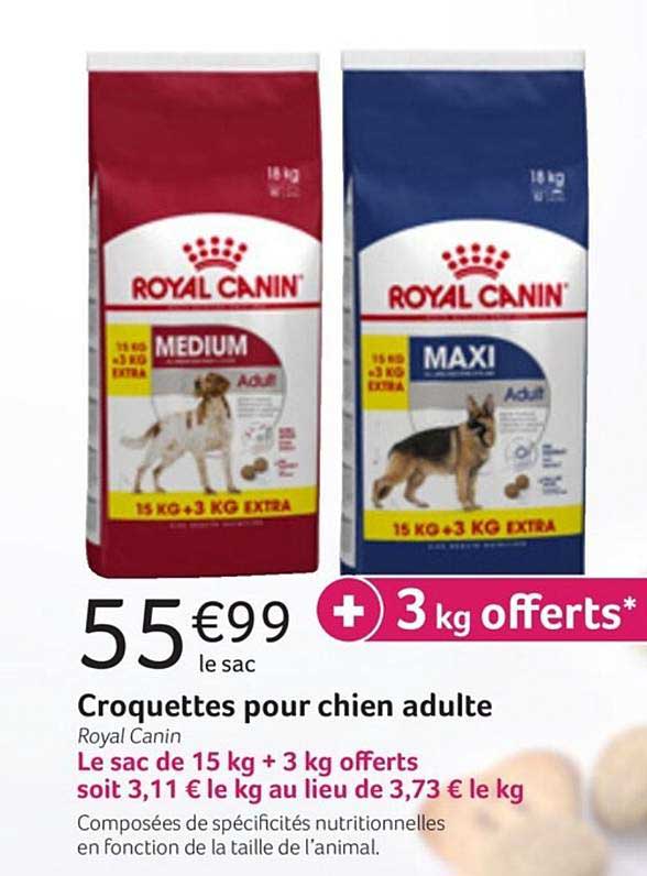 croquettes pour chien adulte royal canin
