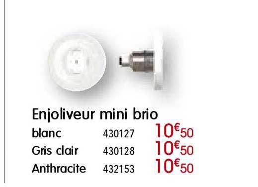 enjoliveur mini brio