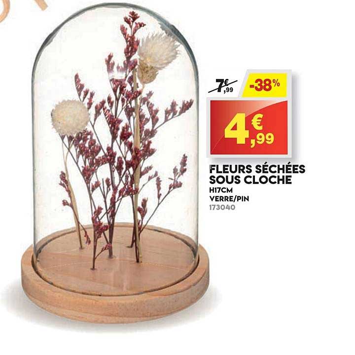 fleurs séchées sous cloche