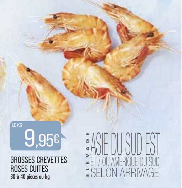 grosses crevettes roses cuites