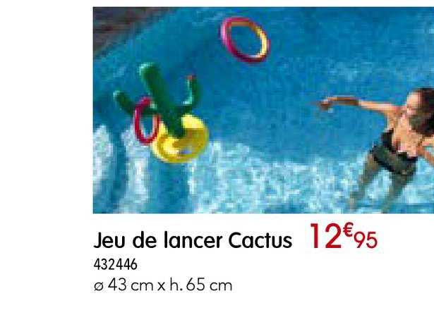 jeu de lancer cactus