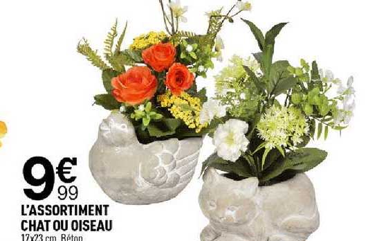 l'assortiment chat ou oiseau