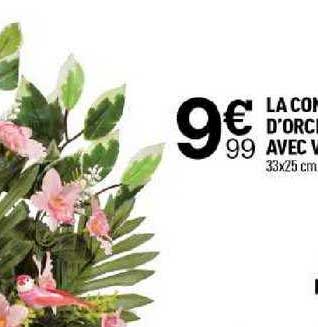 la composition d'orchidées avec vierge