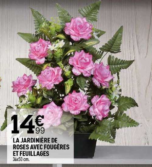 la jardinière de roses avec fougères et feuillages