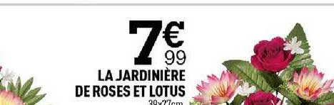 La Jardinière De Roses Et Lotus