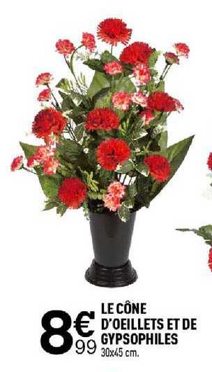 le cône d'oeillets et de gypsophiles