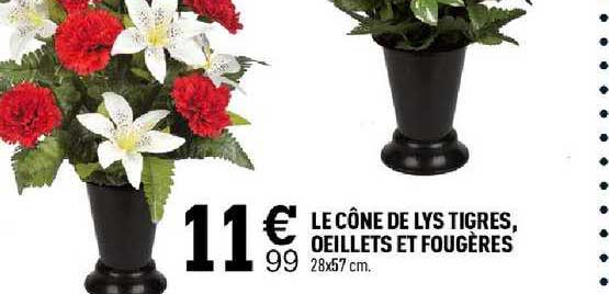 le cône de lys tigres oeillets et fougères