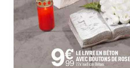 Le Livre En Béton Avec Boutons De Rose