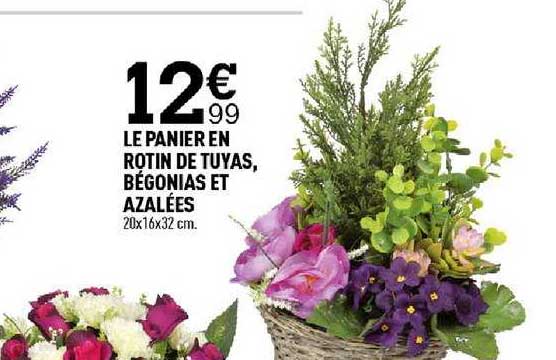 le panier en rotin de tuyas bégonias et azalées