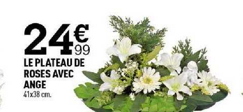 Le Plateau De Roses Avec Ange