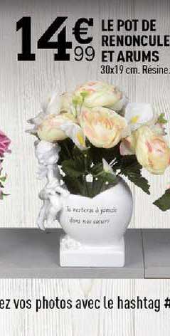 le pot de renoncule et arums