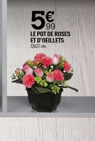 le pot de roses et d'oeillets
