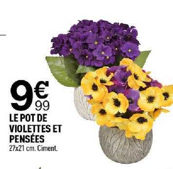 Le Pot De Violettes Et Pensées