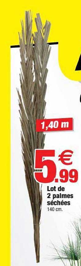 lot de 2 palmes séchées
