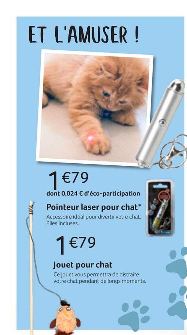 pointeur laser pour chat jouet pour chat
