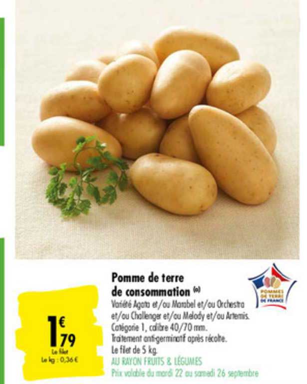 Pomme De Terre De Consommation
