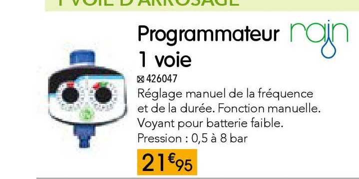 programmateur 1 voie rain