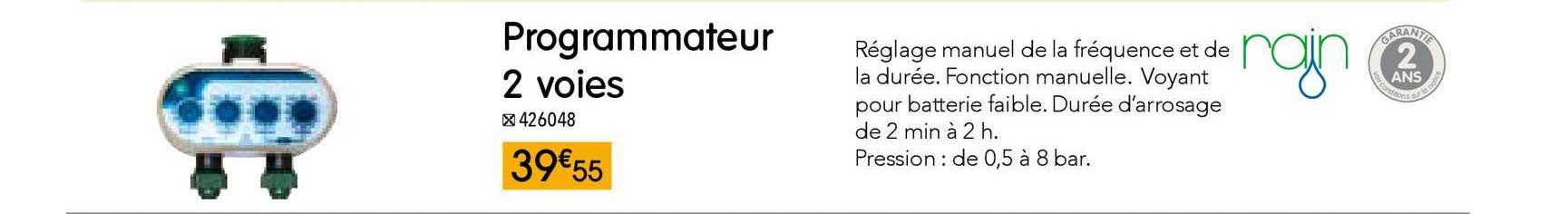 programmateur 2 voies rain