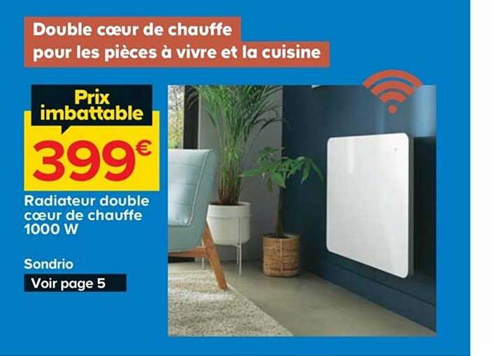 radiateur double cœur de chauffe 1000 w sondrio