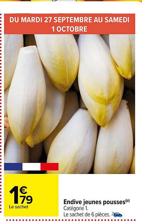 endive jeunes pousses