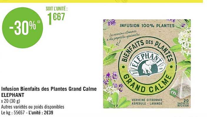 infusio bienfaits des plantes grand calme elephant