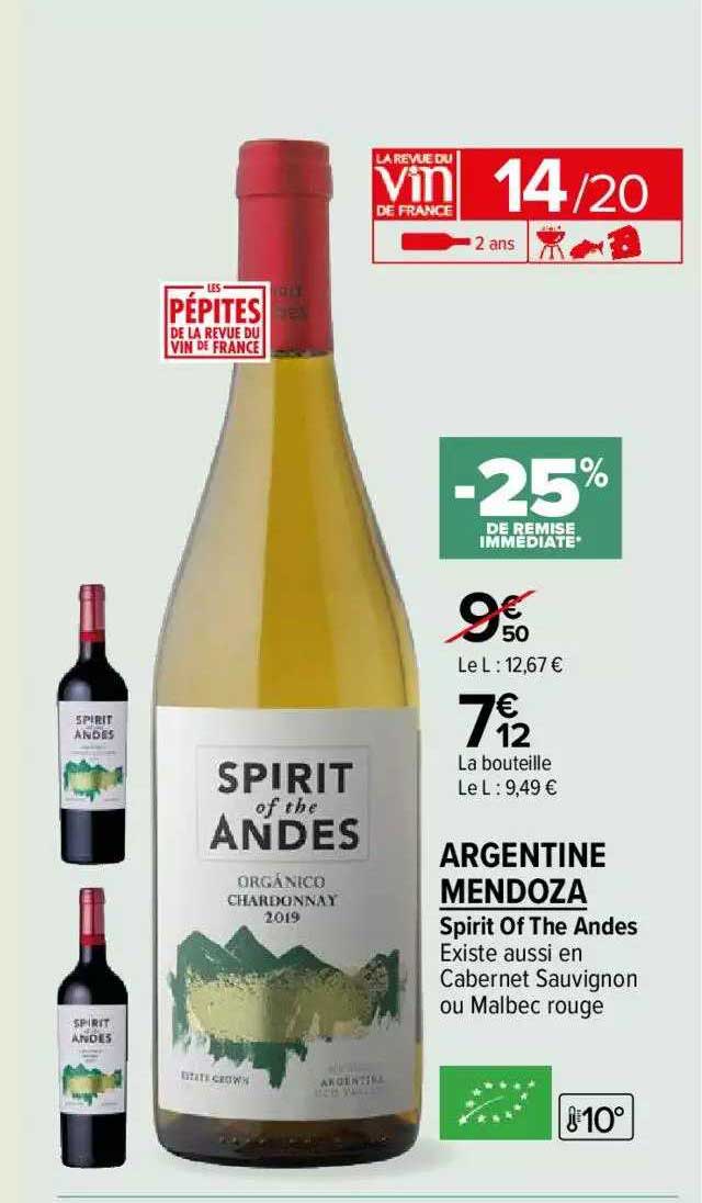 spirit of the andes argentine mendoza