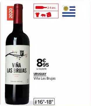 uruguay viña las brujas