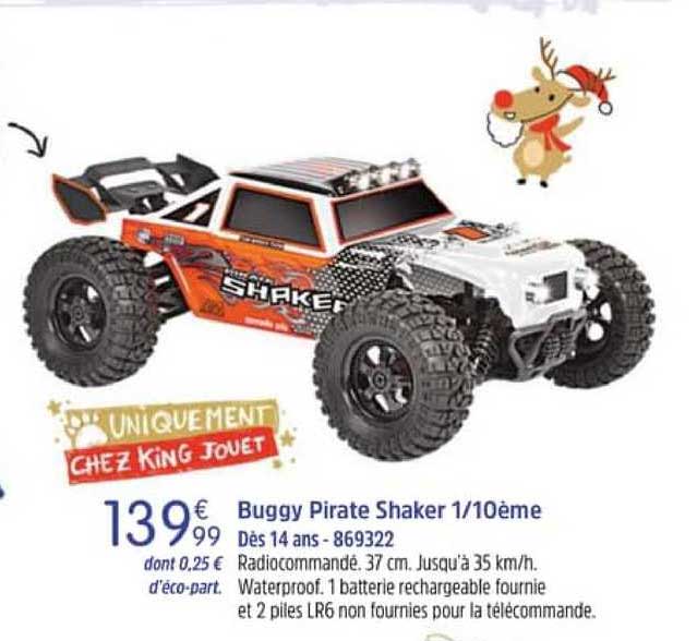 buggy pirate shaker 1-10ème