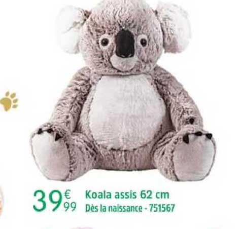 Koala Assis 62 Cm
