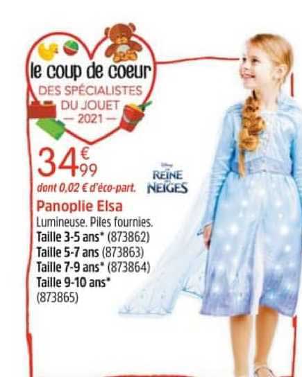 panoplie elsa disney reine des neiges