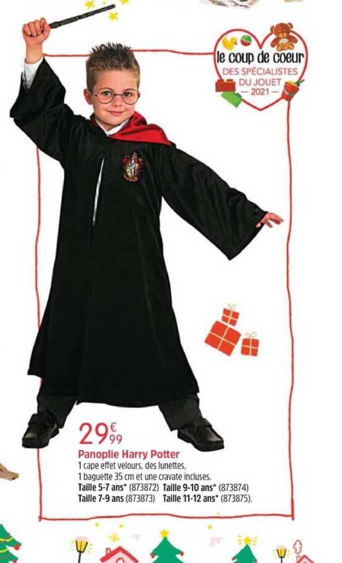 Panoplie Harry Potter