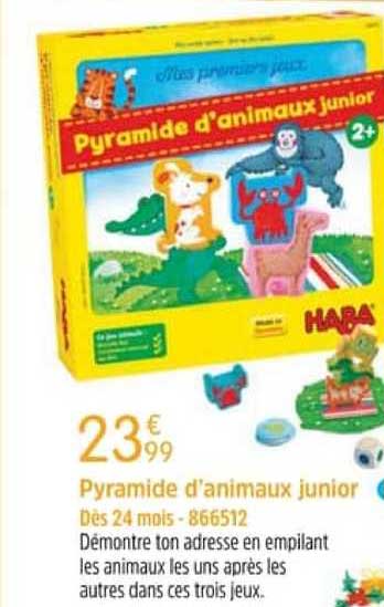 pyramide d'animaux junior