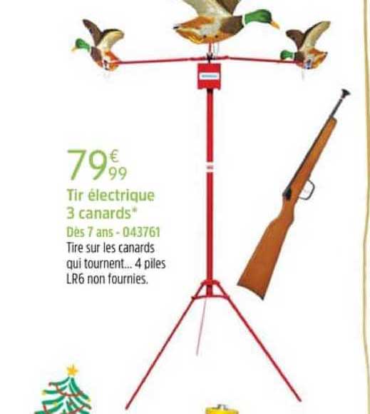 tir électrique 3 canards