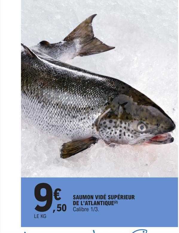 saumon vidé supérieur de l'atlantique