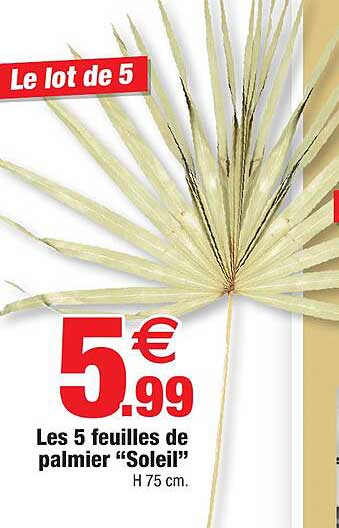 Les 5 Feuilles De Palmier "soleil"