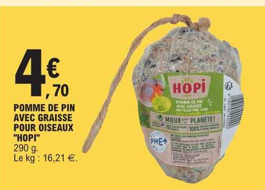 Pomme De Pin Avec Graisse Pour Oiseaux "hopi"